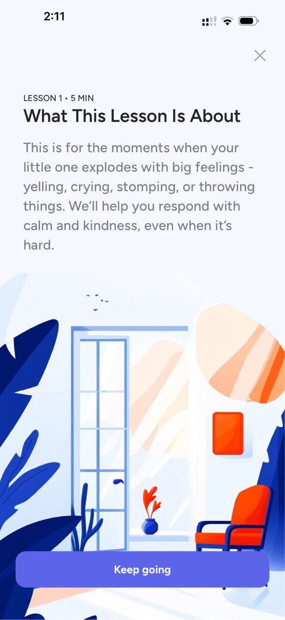 Savvy — what this lesson is about